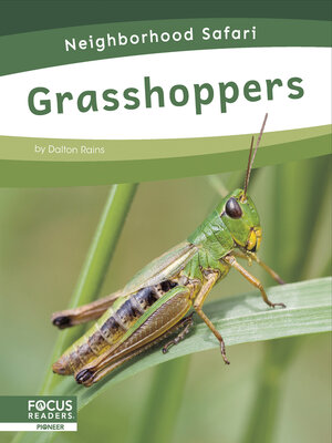 cover image of Grasshoppers